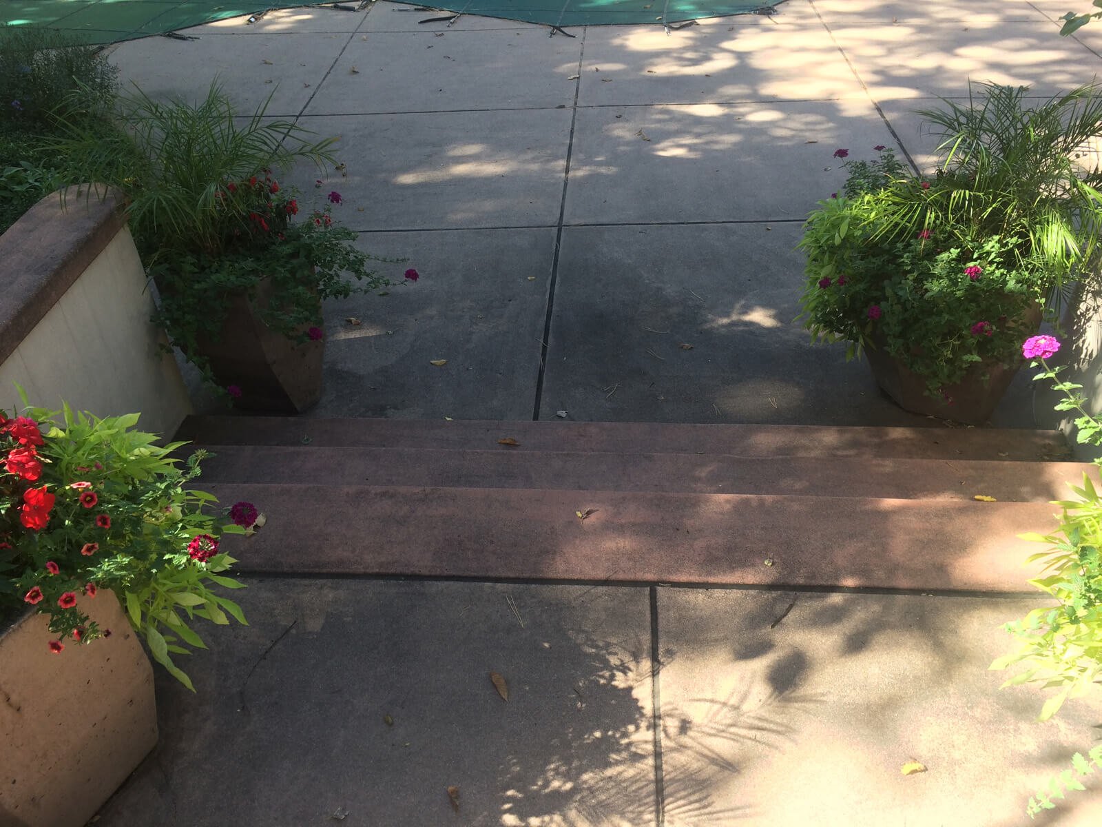 Residential Pressure Washing 10