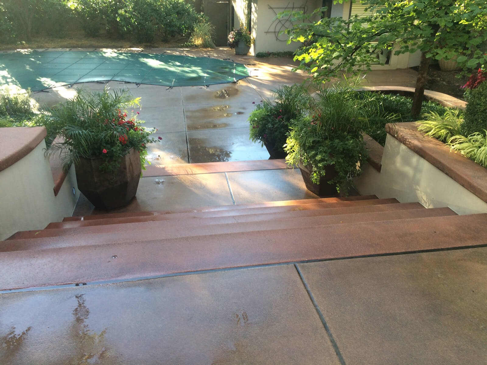 Residential Pressure Washing 11